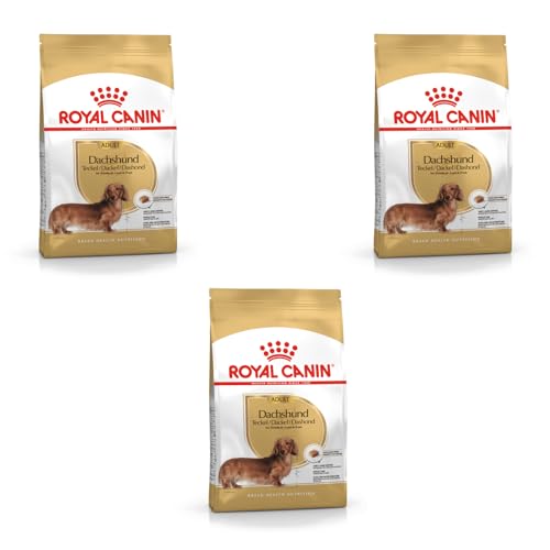 Royal Canin Dachshund Adult | 3er Pack | 3 x 500 g | Alleinfuttermittel für Hunde | Speziell für ausgewachsene Dackel | Kann dabei unterstützen die Knochen und Gelenke zu schützen von ROYAL CANIN