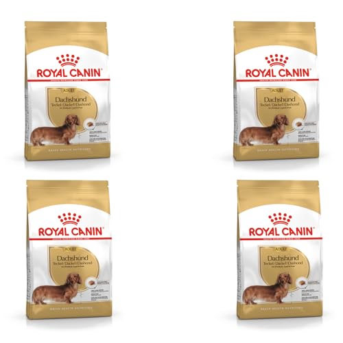Royal Canin Dachshund Adult | 4er Pack | 4 x 500 g | Alleinfuttermittel für Hunde | Speziell für ausgewachsene Dackel | Kann dabei unterstützen die Knochen und Gelenke zu schützen von ROYAL CANIN