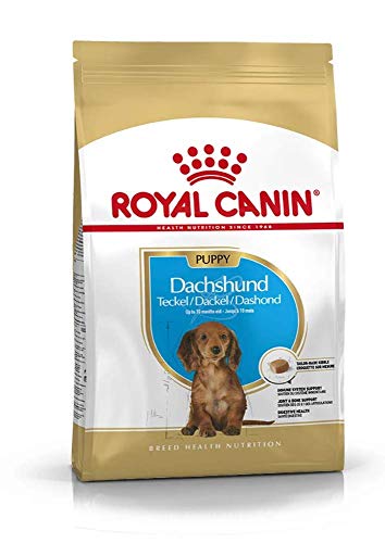 Royal Canin Dachshund Junior 1,5 kg, 1er Pack (1 x 1.5 kg) von ROYAL CANIN