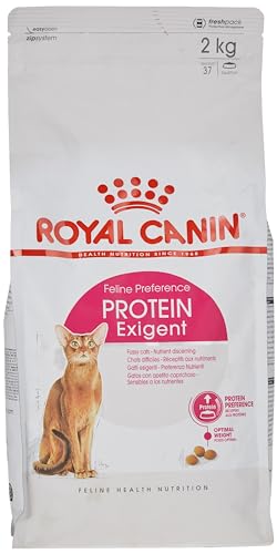 Royal Canin Exigent42Proteinpreference 2kg, 1er Pack (1 x 2 kg Packung) - Katzenfutter von ROYAL CANIN