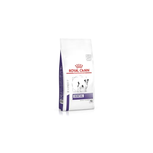 Royal Canin Expert Dental Small Dogs | 1500 g | Trockennahrung für Hunde | Alleinfuttermittel für Hunde | Für ausgewachsene kleine Hunde von ROYAL CANIN