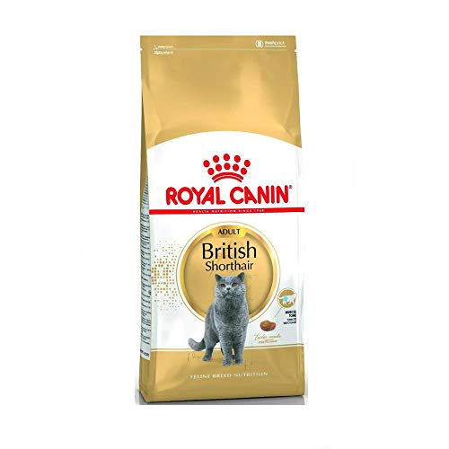 Royal Canin Feline British Shorthair, 1er Pack (1 x 10 kg Beutel) - Katzenfutter von ROYAL CANIN