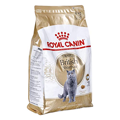 Royal Canin Feline British Shorthair, 1er Pack (1 x 4 kg Beutel) - Katzenfutter von ROYAL CANIN