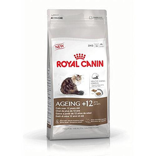 Royal Canin Senior AGEING 12+ | 400 g | Alleinfuttermittel für Senior Katzen ab dem 12. Lebensjahr | Kann dazu beitragen die Nieren- und Harnwegsfunktion zu unterstützen von Royal Canin