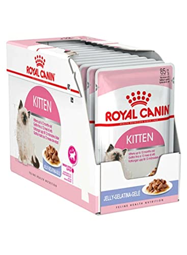 ROYAL CANIN Feline Kitten Instinctive in Gelee | 12x 85g Katzenfutter von ROYAL CANIN