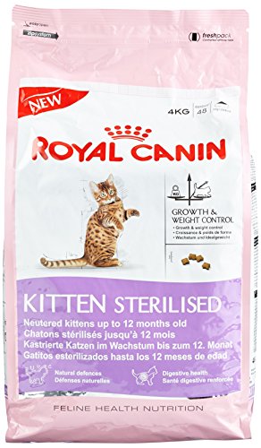 Royal Canin Feline Kitten Sterilised, 1er Pack (1 x 4 kg) von ROYAL CANIN