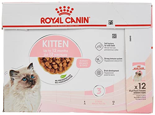 Royal Canin Kitten | 12 x 85 g | Nassfutter für Kitten | Feine Stückchen in Soße | Speziell für Katzenwelpen in der zweiten Wachstumsphase bis zum 12. Monat von ROYAL CANIN