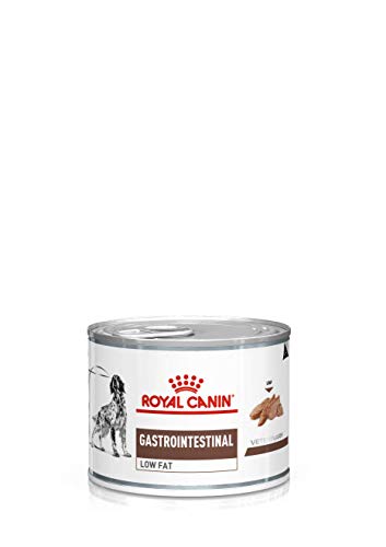 Royal Canin Veterinary Gastrointestinal Low Fat Mousse | 12 x 200 g | Diät-Alleinfuttermittel für ausgewachsene Hunde | Zur Unterstützung der Verdauung | Niedriger Fettgehalt von ROYAL CANIN