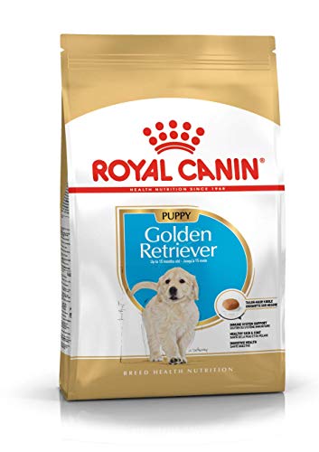 Royal Canin Golden Retriever Junior 12 kg, 1er Pack (1 x 12 kg) von ROYAL CANIN