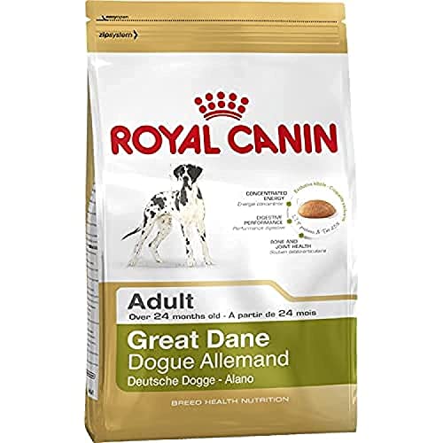 Royal Canin Great Dane 24 Adult 12 kg, 1er Pack (1 x 12 kg) von ROYAL CANIN