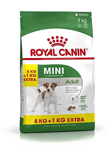 Royal Canin Hundefutter Mini Adult, 8+1 kg gratis, 1er Pack (1 x 9 kg) von ROYAL CANIN