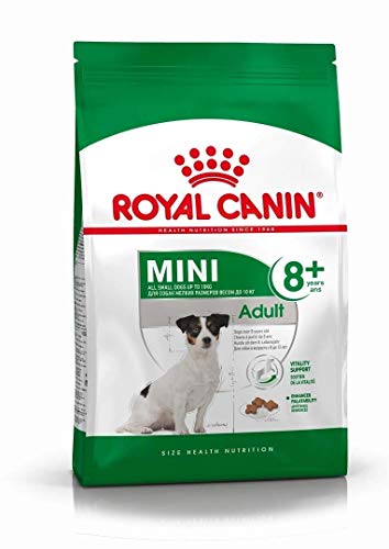 Royal Canin Hundefutter Mini Adult 8+, 8 kg, 1er Pack (1 x 8 kg) von ROYAL CANIN