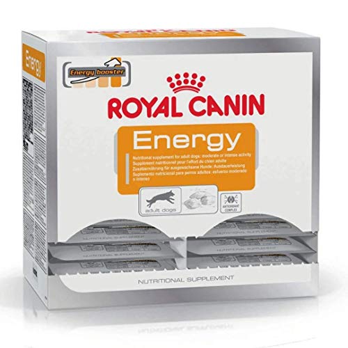 Royal Canin Hundesnack Energy 50g, 30er Pack (30 x 50 g) von ROYAL CANIN