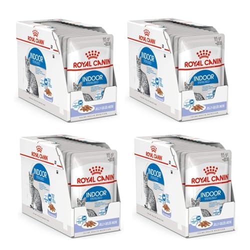 Royal Canin Indoor Sterilised in Gelee | 4er Pack | 4 x 12 x 85 g | Alleinfuttermittel für ausgewachsene Katzen die im Haus Leben | Für sterilisierte Katzen | Häppchen in Gelee von ROYAL CANIN