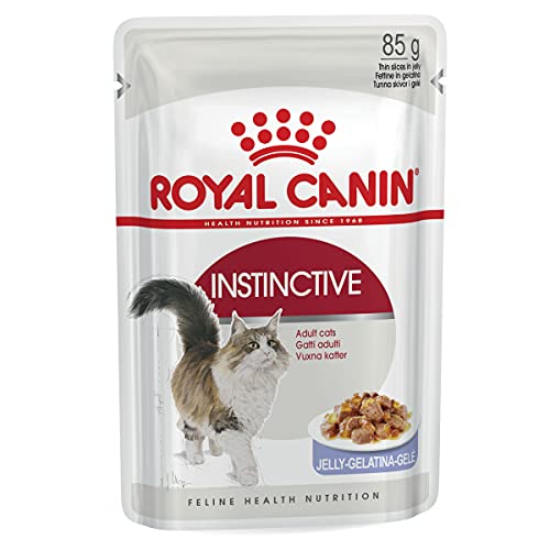 Royal Canin Instinctive Jelly | 12 x 85 g | Nassfutter in Gelee für ausgewachsene Katzen | Zur Unterstützung der Harnwege und des Gewichts | Ausgewogene Rezeptur von ROYAL CANIN