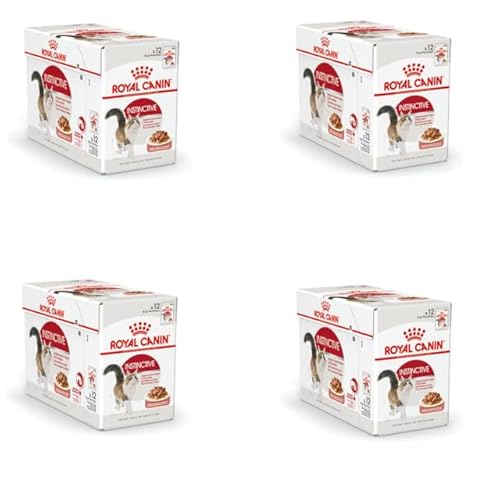 Royal Canin Instinctive Jelly | 48er Pack | 48 x 85 g | Nassfutter in Gelee für ausgewachsene Katzen | Zur Unterstützung der Harnwege und des Gewichts | Ausgewogene Rezeptur von ROYAL CANIN