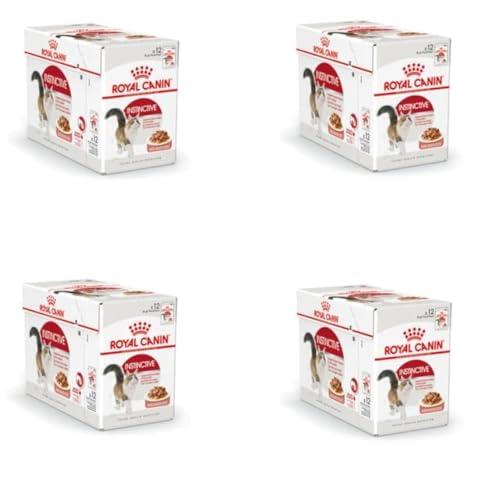 Royal Canin Instinctive Jelly | 4er Pack | 4 x 12 x 85 g | Nassfutter in Gelee für ausgewachsene Katzen | Zur Unterstützung der Harnwege und des Gewichts | Ausgewogene Rezeptur von ROYAL CANIN