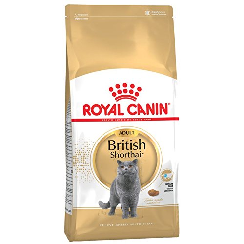 Royal Canin Katzenfutter, Britisch Kurzhaar, 10 kg, 2er-Pack. von ROYAL CANIN