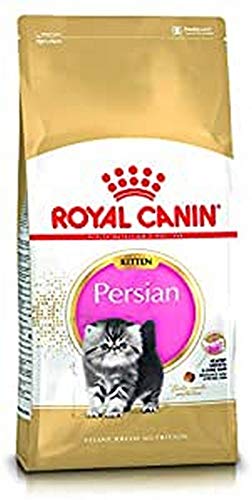 Royal Canin Katzenfutter Feline Kitten Persian 32, 4 kg, 1er Pack (1 x 4 kg), 660 g (12er Pack) von ROYAL CANIN