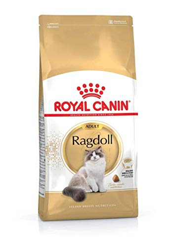 Royal Canin Katzenfutter Ragdoll 10 kg, 1er Pack (1 x 10 kg) von ROYAL CANIN