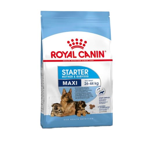 Royal Canin Katzenfutter Starter Puppy Maxi 15 kg von ROYAL CANIN