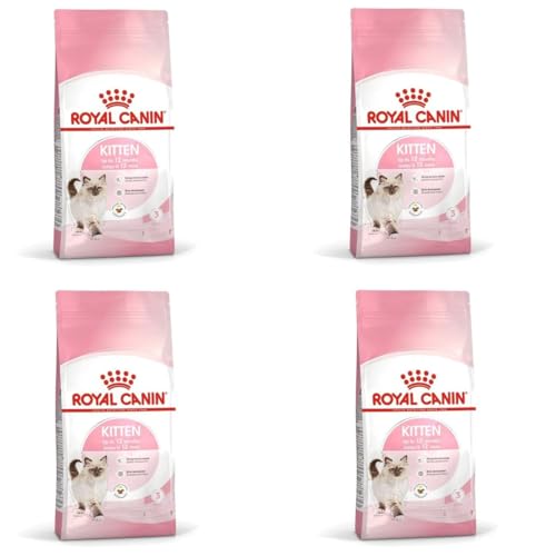 Royal Canin Kitten | 4er Pack | 4 x 400 g | Trockenfutter für Katzenwelpen bis zum 12. Monat | Zur Unterstützung des Immunsystems, der Verdauung und der Gehirnentwicklung von ROYAL CANIN