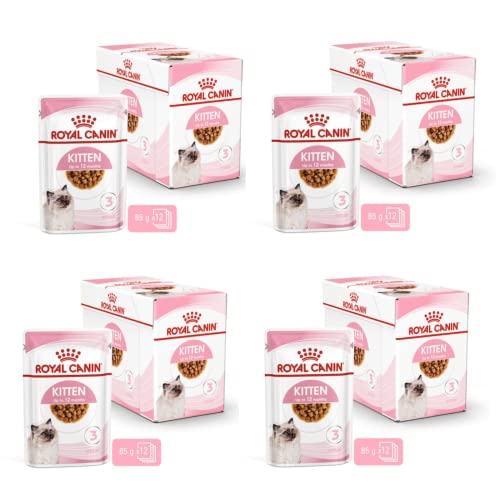 Royal Canin Kitten Nassfutter | 4er Pack | 4 x 12 x 85 g | Feine Stückchen in Soße | Alleinfuttermittel für Kitten | Speziell für Katzenwelpen ab der zweiten Wachstumsphase bis zum 12. Monat von ROYAL CANIN