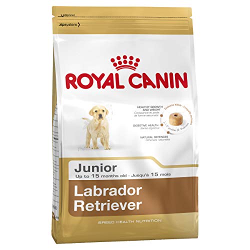 Royal Canin Kroketten für Labrador- und Retriever-Welpen, Junior, 12 kg, 1 Sack von ROYAL CANIN