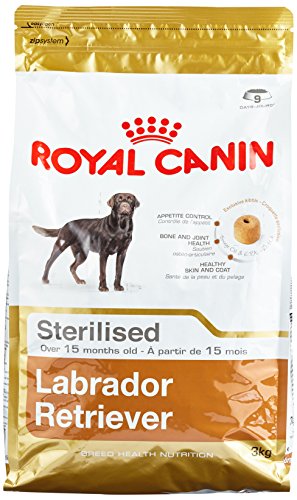 Royal Canin Labrador Adult Sterilised, 1er Pack (1 x 3 kg) von ROYAL CANIN