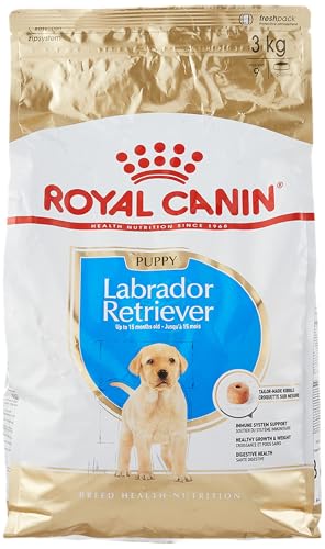 Royal Canin Labrador Junior Labrador-Futter für junge Labradore. von ROYAL CANIN