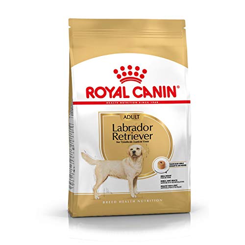 Royal Canin | Labrador Retriever Adult | 12 kg von ROYAL CANIN