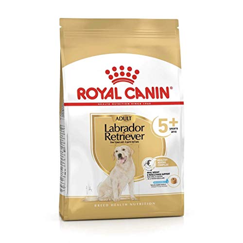 ROYAL CANIN Labrador Retriever Adult 5+ - 12 kg von ROYAL CANIN