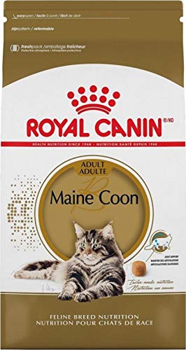 Royal Canin Maine Coon 31 Katzenfutter, 10 kg von ROYAL CANIN