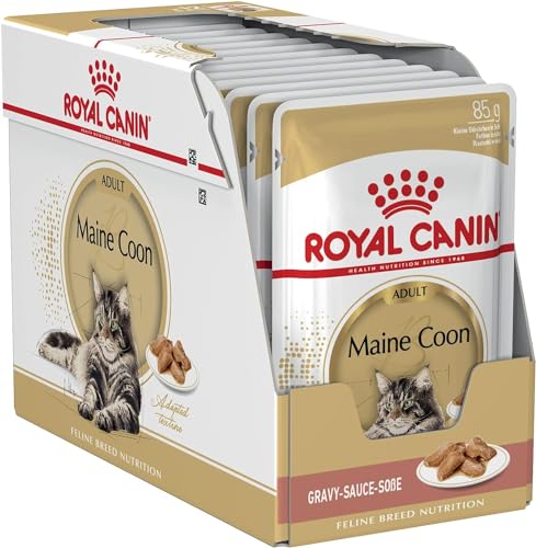 Royal Canin Maine Coon Adult | 12 x 85 g | Nassfutter für Katzen | Speziell auf die Bedürfnisse von Maine Coon Katzen abgestimmt | Mit angepasstem Energiegehalt von ROYAL CANIN