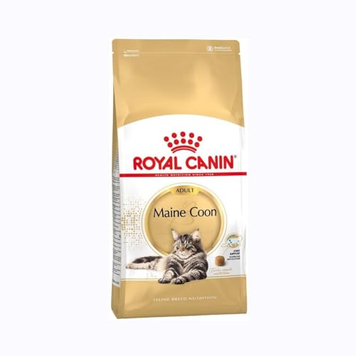 Royal Canin Maine Coon Adult | 400 g | Trockenfutter für Katzen | Angepasst auf den Bedarf von Maine Coon Katzen | Zur Unterstützung der Gelenke und Knochen von ROYAL CANIN