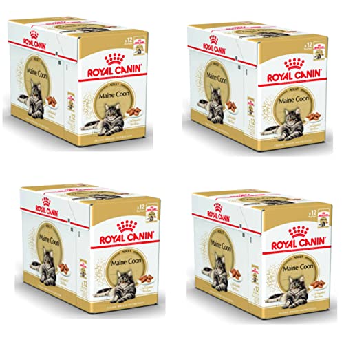 Royal Canin Maine Coon Adult | 4er Pack | 4 x 12 x 85 g | Nassfutter für Katzen | Speziell auf die Bedürfnisse von Maine Coon Katzen abgestimmt | Angepasster Energiegehalt von ROYAL CANIN