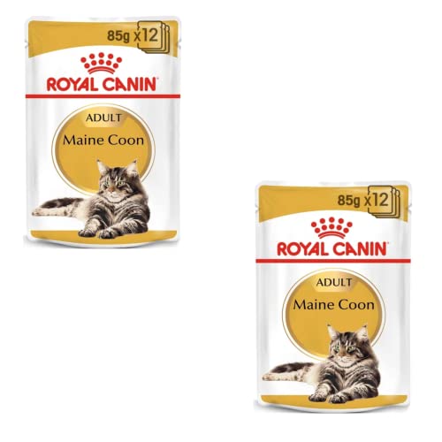 Royal Canin Maine Coon Adult | Doppelpack | 2 x 12 x 85 g | Nassfutter für Katzen | Speziell auf die Bedürfnisse von Maine Coon Katzen abgestimmt | Angepasster Energiegehalt von ROYAL CANIN