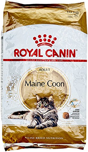 Royal Canin Maine Coon Katzenfutter, 10 kg von ROYAL CANIN