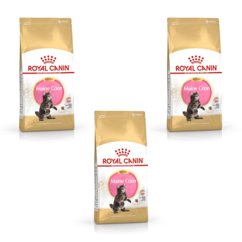 Royal Canin Maine Coon Kitten | 3er Pack | 3 x 400 g | Alleinfuttermittel für Maine Coon Kitten | Speziell für Maine Coon Katzenwelpen entwickelt | Bis zum 12. Lebensmonat von ROYAL CANIN