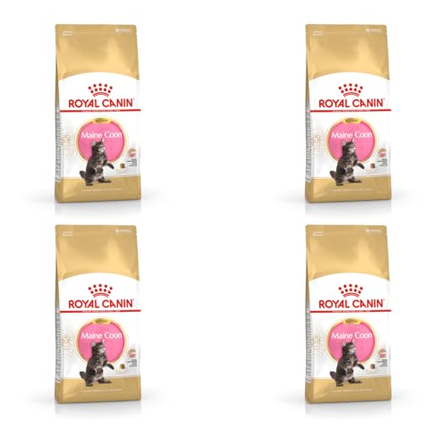 Royal Canin Maine Coon Kitten | 4er Pack | 4 x 400 g | Alleinfuttermittel für Maine Coon Kitten | Speziell für Maine Coon Katzenwelpen entwickelt | Bis zum 12. Lebensmonat von ROYAL CANIN