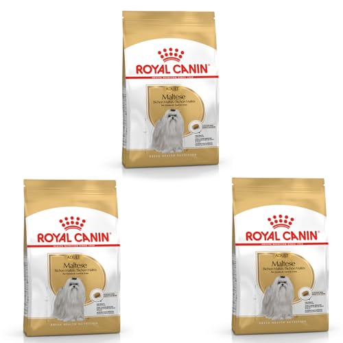 Royal Canin Maltese Adult | 3er Pack | 3 x 500 g |Trockenfutter für ausgewachsene Malteser | Zur Unterstützung des Fells und der Verdauung | Für Hunde ab dem 10. Lebensmonat von ROYAL CANIN