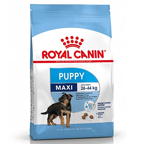 Royal Canin Maxi Junior, 1er Pack (1 x 10 kg Beutel) - Hundefutter von ROYAL CANIN