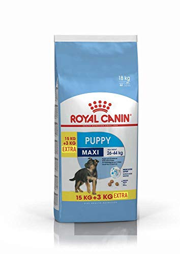 Royal Canin Maxi Junior Hundefutter, 15 kg plus 3 kg gratis, 1er Pack (1 x 18 kg) von ROYAL CANIN