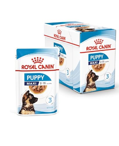 Royal Canin Maxi Puppy 140g (Pack 40 x 140 g) von ROYAL CANIN