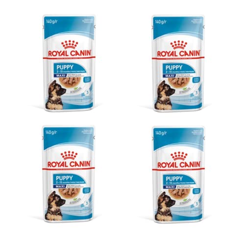 Royal Canin Maxi Puppy Welpenfutter für Hunde großer Rassen | 4er Pack | 4 x 10 x140g | Alleinfuttermittel für große Hundewelpen mit einem Endgewicht von 26 bis 44 kg von Royal Canin