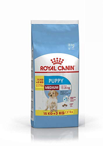 Royal Canin Medium Junior Hundefutter, 15 kg plus 3 kg extra, 1er Pack (1 x 18 kg) von ROYAL CANIN