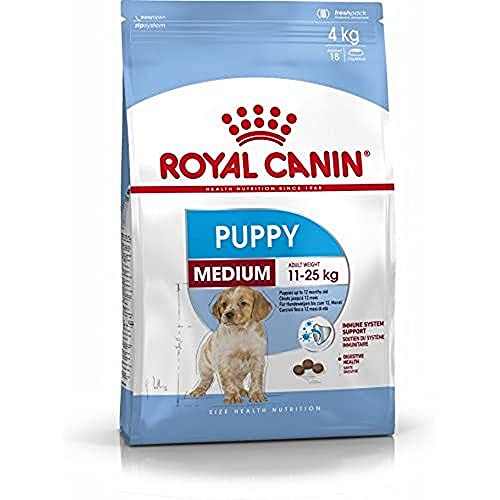 Royal Canin Medium Junior Trockennahrung für Hunde von ROYAL CANIN