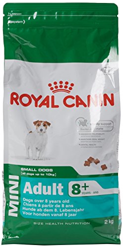 Royal Canin Size Health Nutrition Mini Trockenfutter für ausgewachsene Hunde, 2 kg von ROYAL CANIN