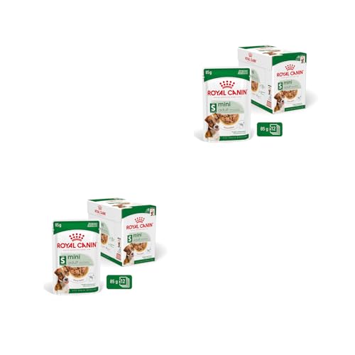 Royal Canin Mini Adult in Soße | Doppelpack | 2 x 12 x 85 g | Nassfutter für kleine, ausgewachsene Hunde (1 bis 10 kg) | Von 10 Monaten bis 12 Jahre | Angepasster Energiegehalt von ROYAL CANIN