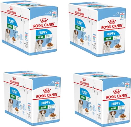 Royal Canin Mini Puppy | 4er Pack | 4 x 12 x 85 g | Nassfutter für kleine Hundewelpen | Bis zum 10. Lebensmonat | Feine Stückchen in Soße | Weiche Textur für die Milchzähne von ROYAL CANIN